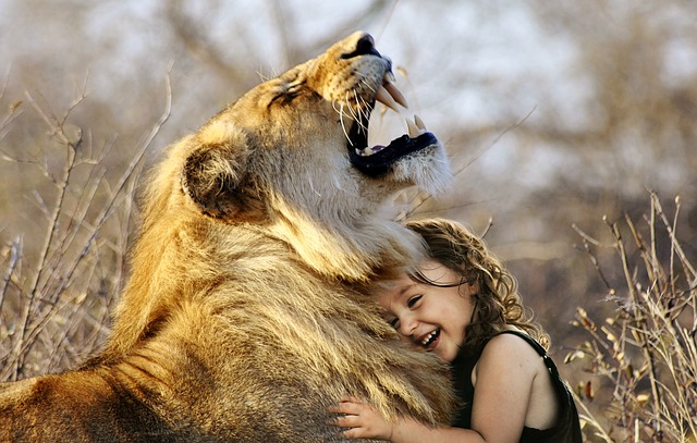 ライオンと少女